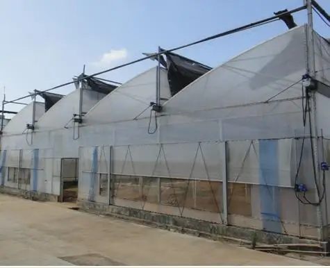 PEP Plastic Film For Agricultural Greenhouse