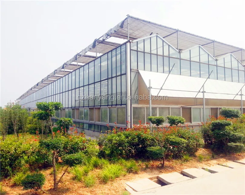 Glass/Polycarbonate Sheet Greenhouse As Ecological Restaurant