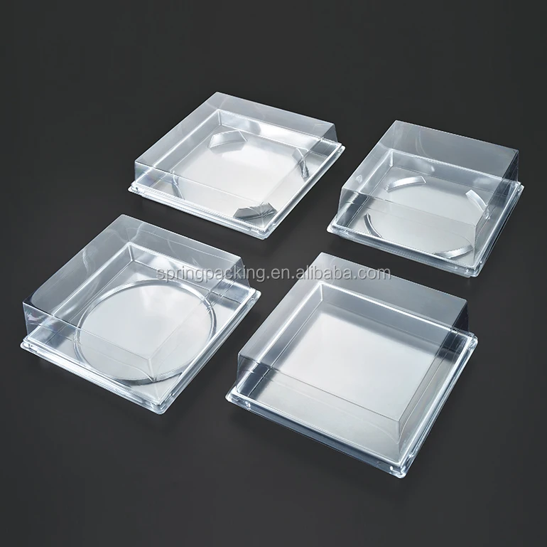 
custom round rectangular square oval-shape blister PET BOPS food packaging Plastic sushi box 