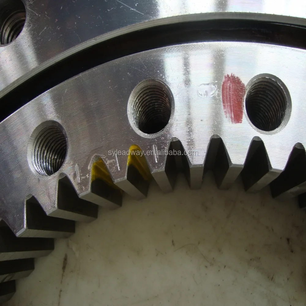 Germany Quality Slewing Ring Bearing with 1 Year