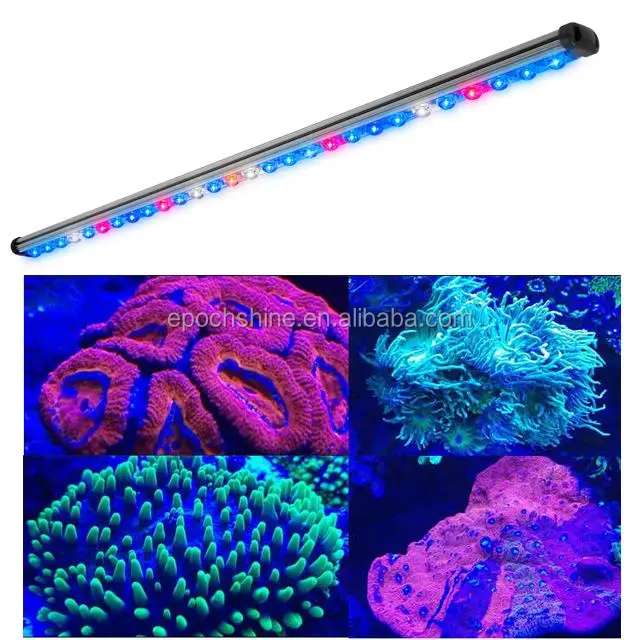 New design Chinese cheap 30w/45w/60w/85w Led Aquarium Light aquatic coral reef used aquarium led lighting reef led light