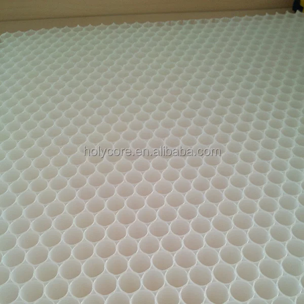 good quality 8mm 10mm 12mm diameter nomex plastic pp honeycomb core holycore