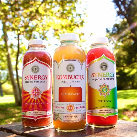 hot sale Kombucha  fermenter/kombucha tea tank/kombucha beverage  fermenter production line