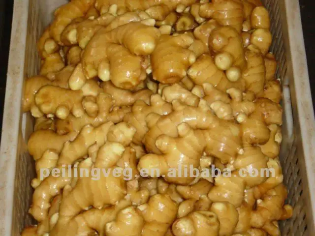 
Свежие овощи (морковь, Хайнер, лук, картофель, чеснок, таро 