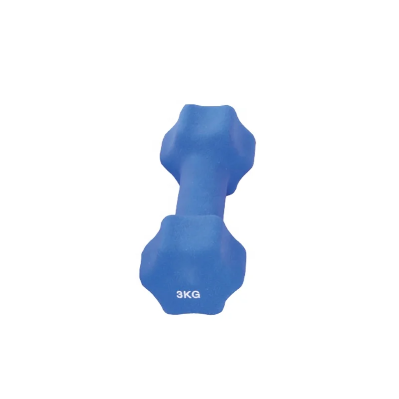 Wholesale Custom Women Gym Training Rubber Coated Hex Weights Dumbbell