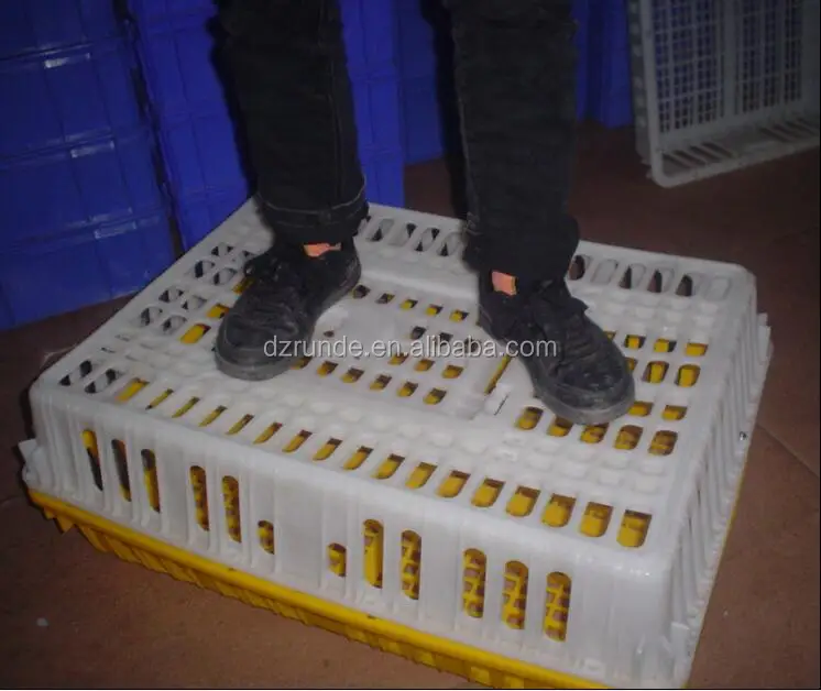 2016 best selling Plastic live chicken transport cage, poultry transport crate, Cages for chicken