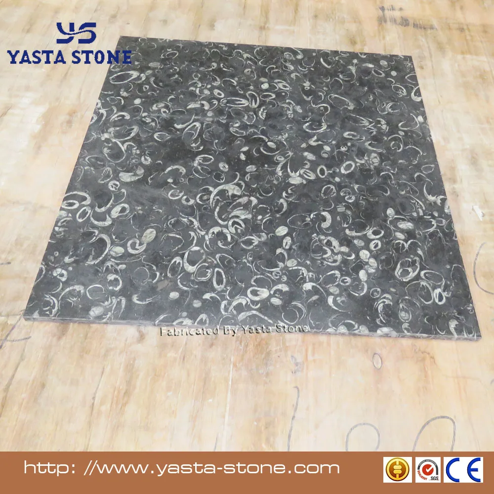 New Natural Stone Colour Black Seashell Granite Floor Tile