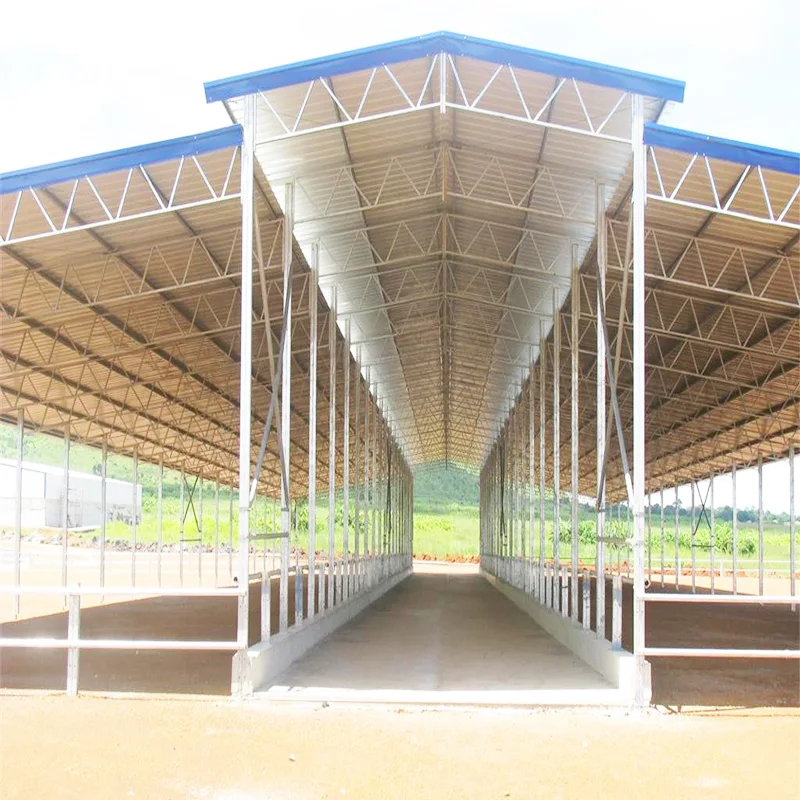 
Sale steel structure cowshed 