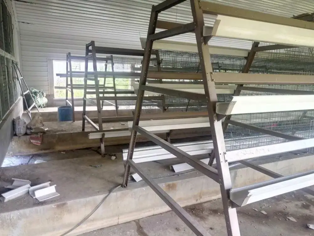
Low cost steel structure poultry farm chicken house designs for sale 