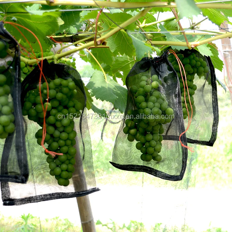 120 Mesh Safety Net Fabric bag for agriculture fruit Bags to proof insect