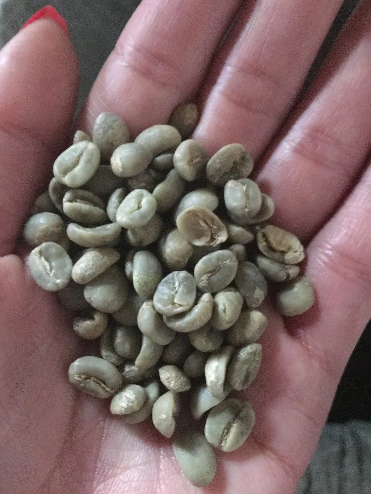 
Nature Green Coffee Bean - Arabica Grade-A 