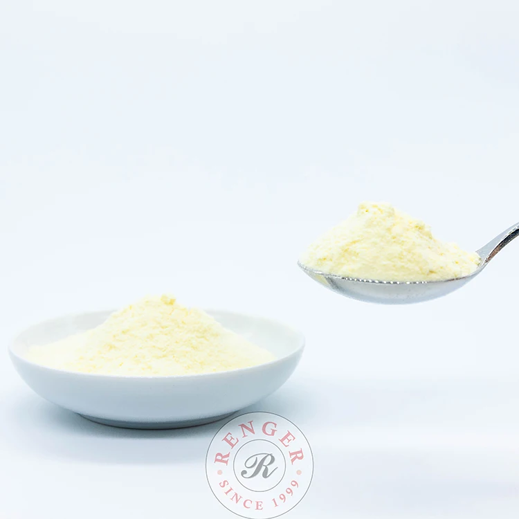 Renger Cheese Flavor Powder for Confectionery