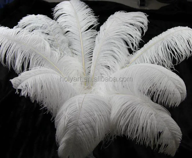 hot sale high quality customized white ostrich feathers