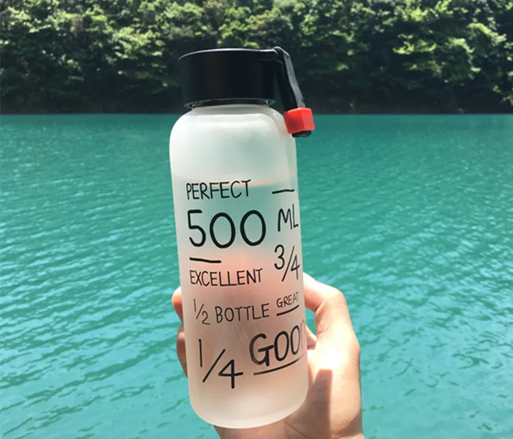 Best Quality My Breakproof Bootl 2 Colors Sports Cycling Camping Readily Space Health Lemon Juice Make 500ml Glass Water Bottle