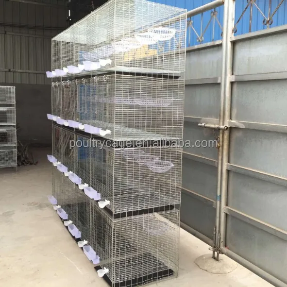 Folding Galvanized Pigeon Breeding Metal Cage For Wholesale