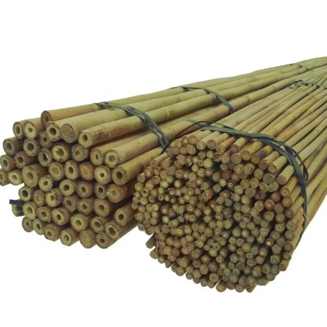 Dry Straight Raw Bamboo Poles Tonkin Bamboo Cane for Garden Plant Agriculture