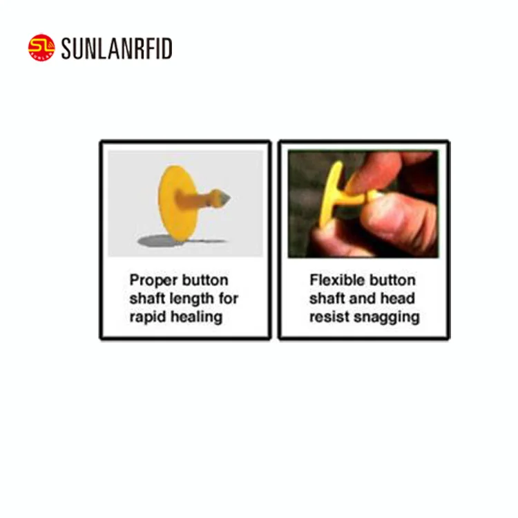 Лучшее качество животных уха тегов для крупного рогатого скота