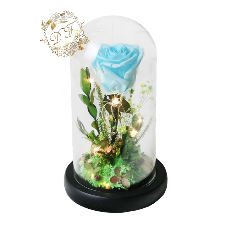 Wholesale Preserved Rose In Glass Dome For Wedding Decorations