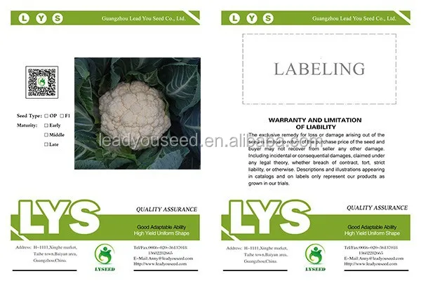 CF35 Sanduo 65 days heat resistant white hybrid cauliflower seeds f1