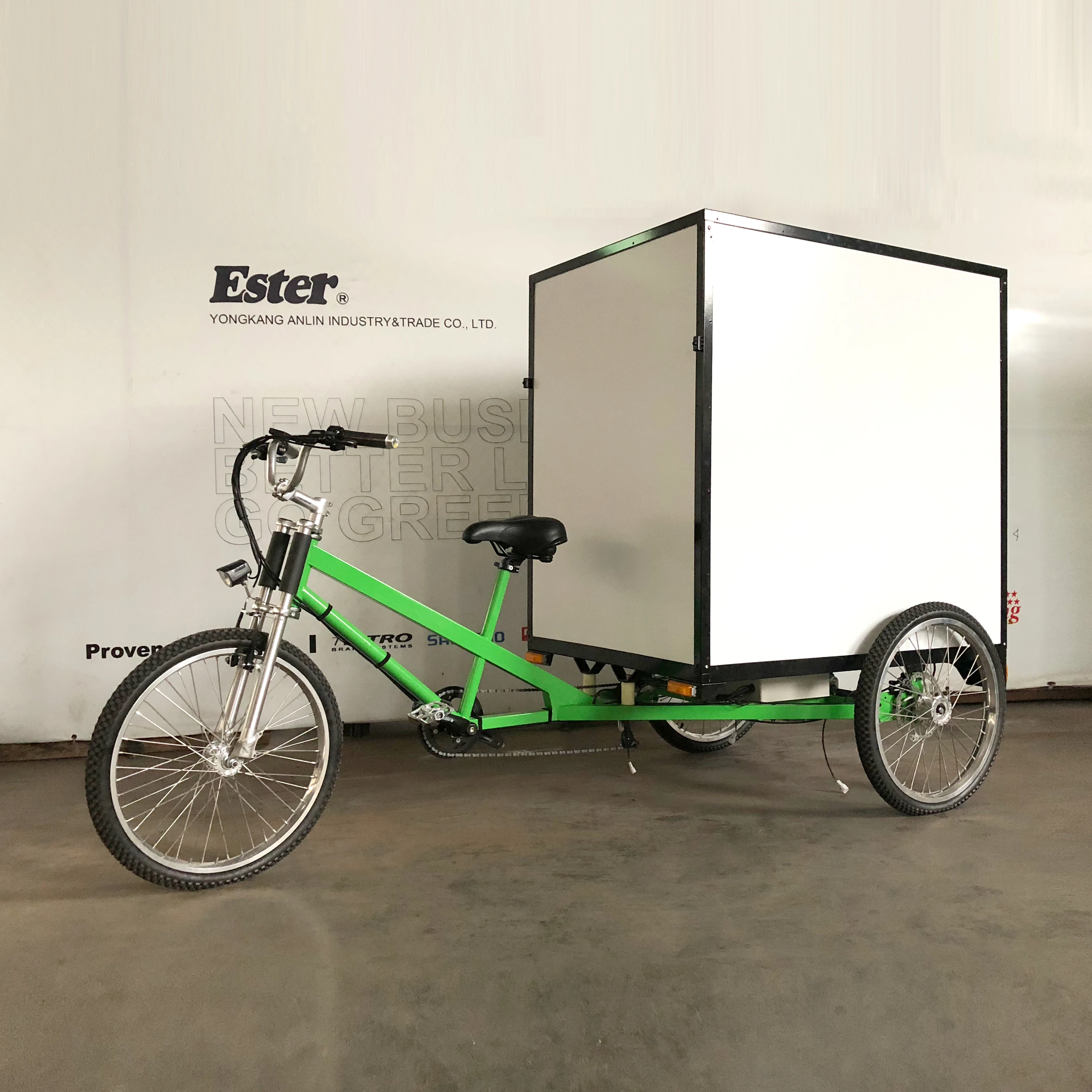 ESTER 3 Wheels Delivery Cargo Electric Tricycle,Cargo Trike Electric