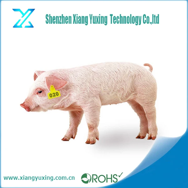 Крупного рогатого скота Овец управления Отслеживания UHF Чужеродных H3 тпу rfid животные ухо тег