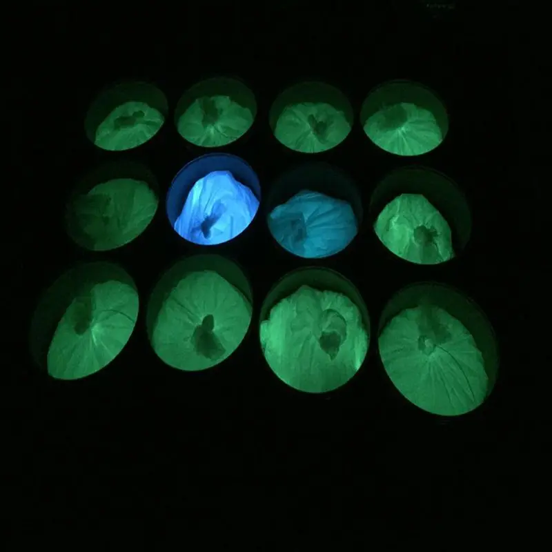 Luminescent/Photoluminescent/Luminous/Noctilucent/Photoluminous/Glow in The Dark Powder Pigment