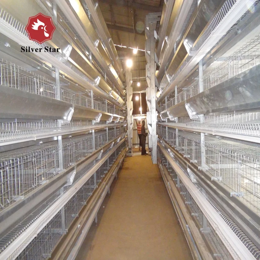 Breeding chicken farm battery cages egg chicken coop for laying hens in south africa nigeria india philippines
