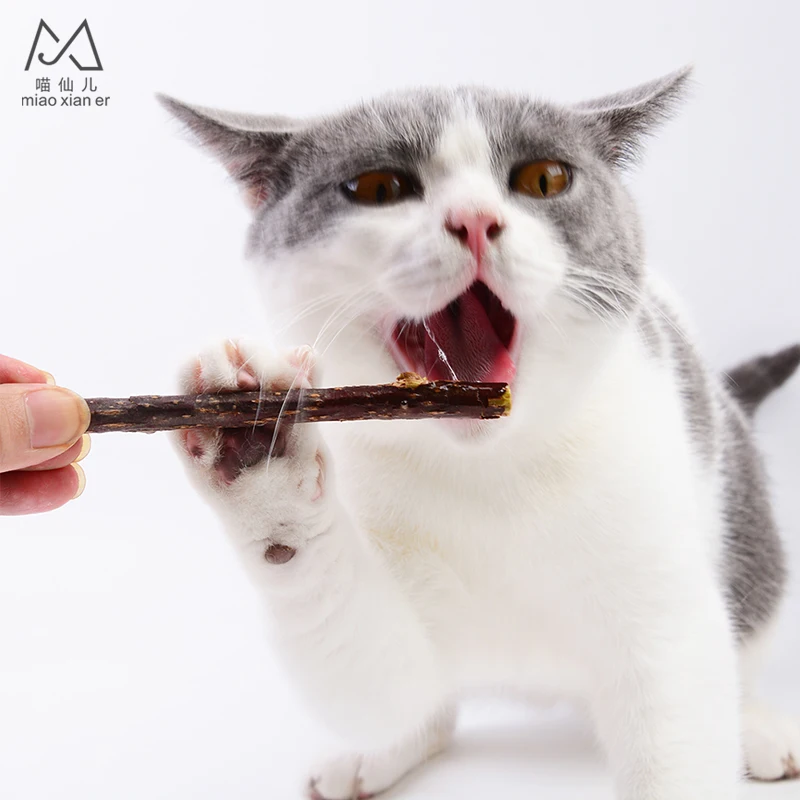 Cat Cleaning Teeth Natural Catnip Pet Cat Molar Toothpaste Stick Matatabi Actinidia Fruit Silvervine Cat Snacks Sticks