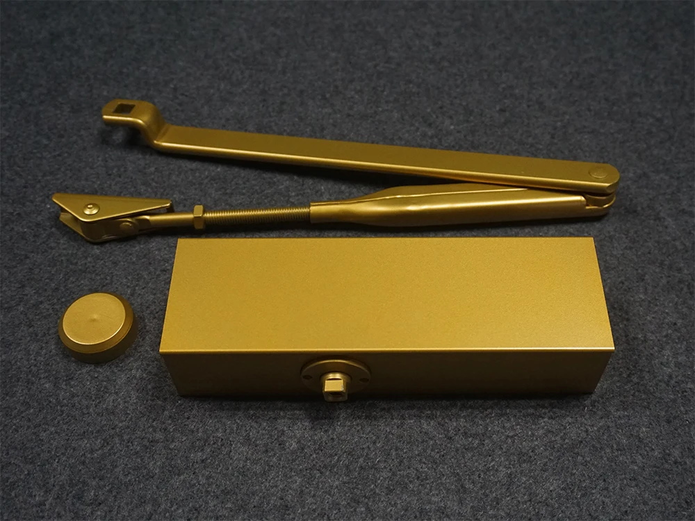 High Quality Hydraulic Fireproof Two Way Door Closer Gold Finished Closing Doors Machine