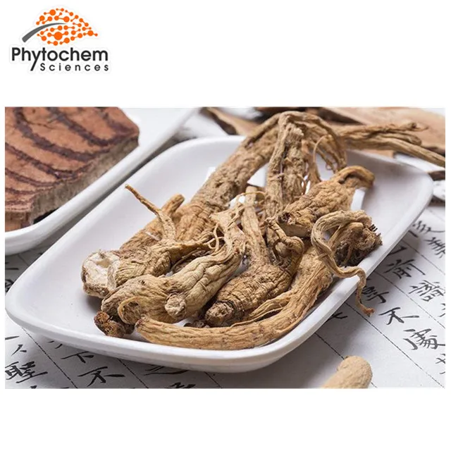 China origin high quality Dong Quai angelica sinensis extract powder with 1% Ligustilide