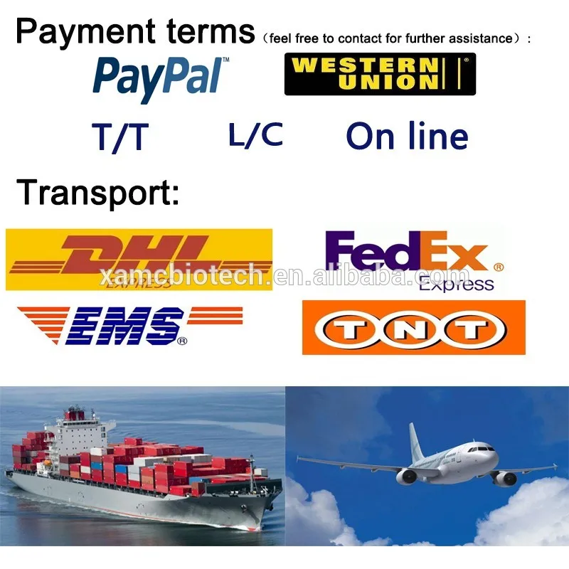 
Bulk supply high quality CAS 86404-04-8 Ethyl Ascorbic Acid 