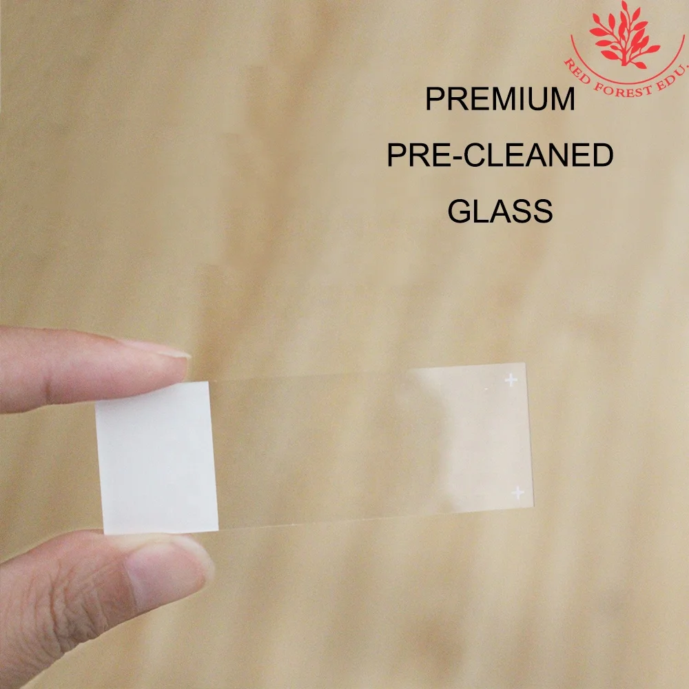 Immunohistochemistry Lab use blank adhesion microscope slides
