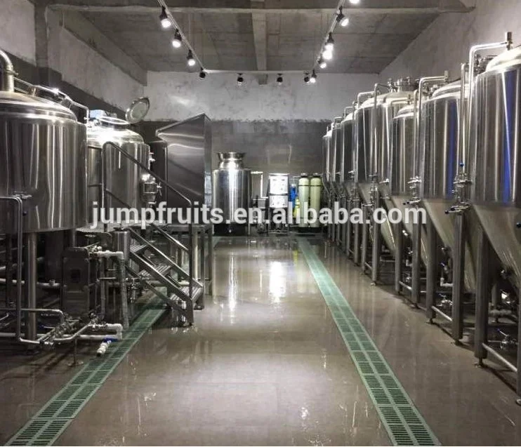 Customizable High Proficiency Blueberry Wine Processing Fruit Wine Production Line Price Negotiable