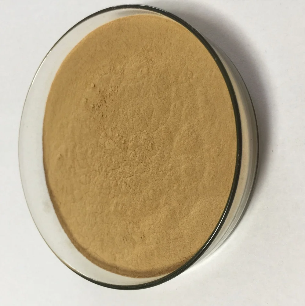 
High quality cordyceps sinensis extract 4:1 