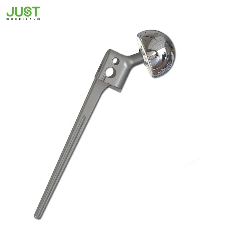 
Hip Joint Replacement Prosthesis Bipolar Head Hemiarthroplasty Design 