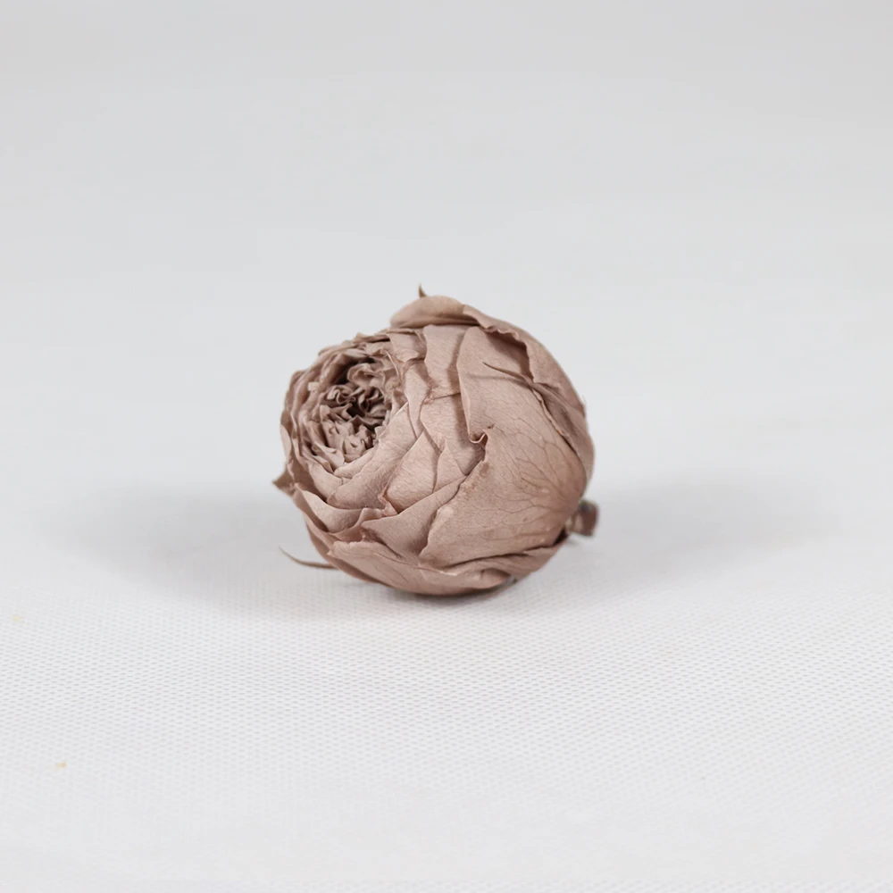 Долговечные натуральные консервированные розы для свадебного декора