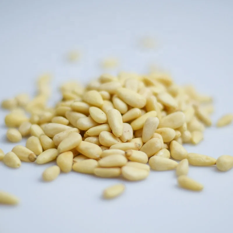 
China Pine Nut Kernels / Cedar Pine Nut Kernel 