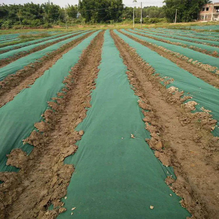 UV treated virgin biodegradable / ecofrindly non woven black weed mat