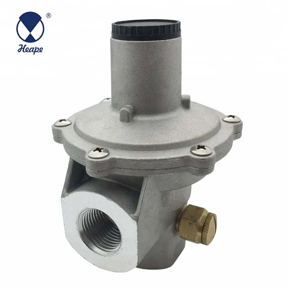 
HEAPE Europe And India Standard Pipe Natural Gas Regulator 