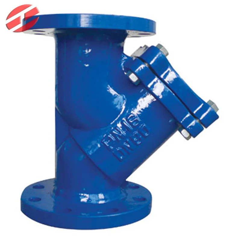 Ductile Iron Flange type Y Strainer