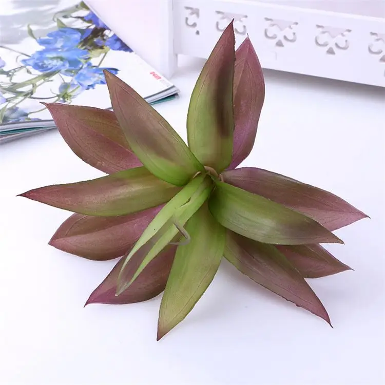 
Best selling unique design living room decorations cactus and succulents 