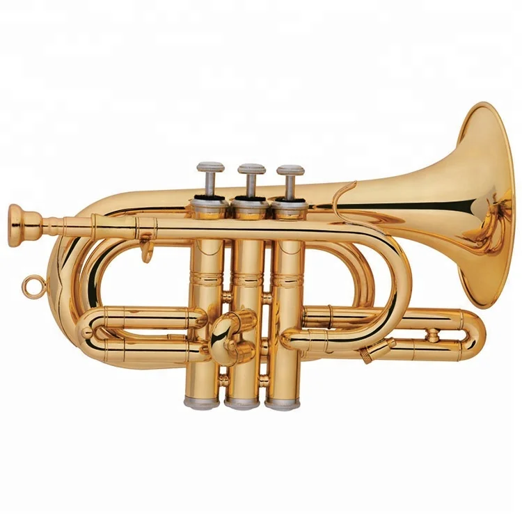 Factory Wholesale Brass Instruments Gold Lacquer D key Cornet with Case