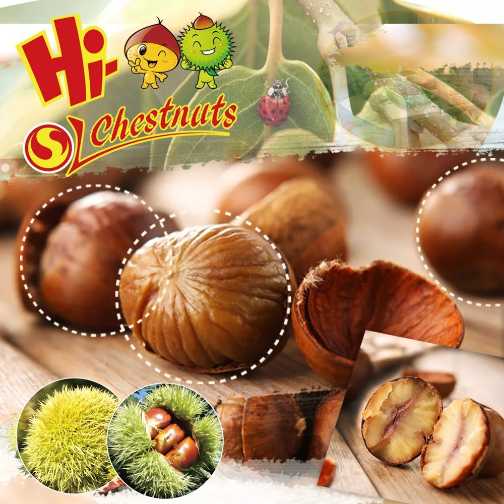 Натуральный сладкий китайский жареных каштанов Snacks--ready , чтобы поесть здоровый орехи закуски