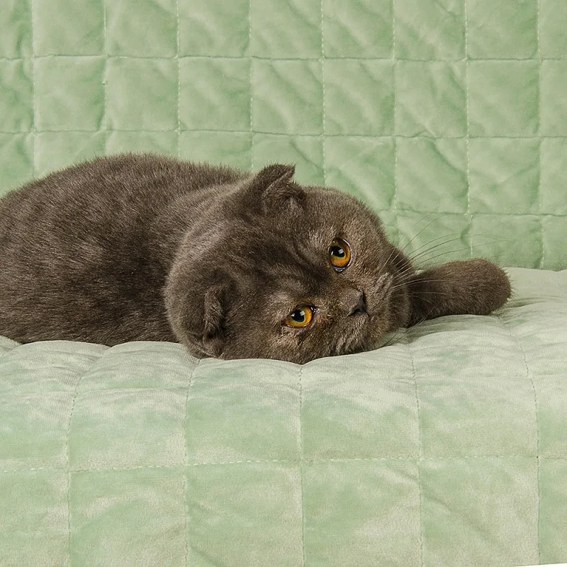 100% Leak Free Quilted Velvet Pet Sofa Cover with Nonslip Backing
