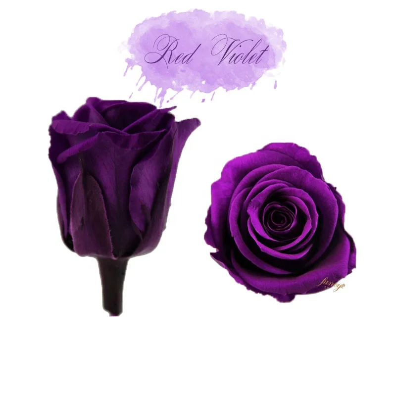 Preserved Roses Flower Arrangement Christmas Flower Wreath