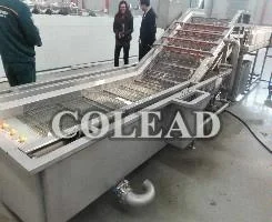 SUS304 stainless steel apple/pear/mango/fruit/vegetable washing/cleaning/processing machine/equipment from Binzhou