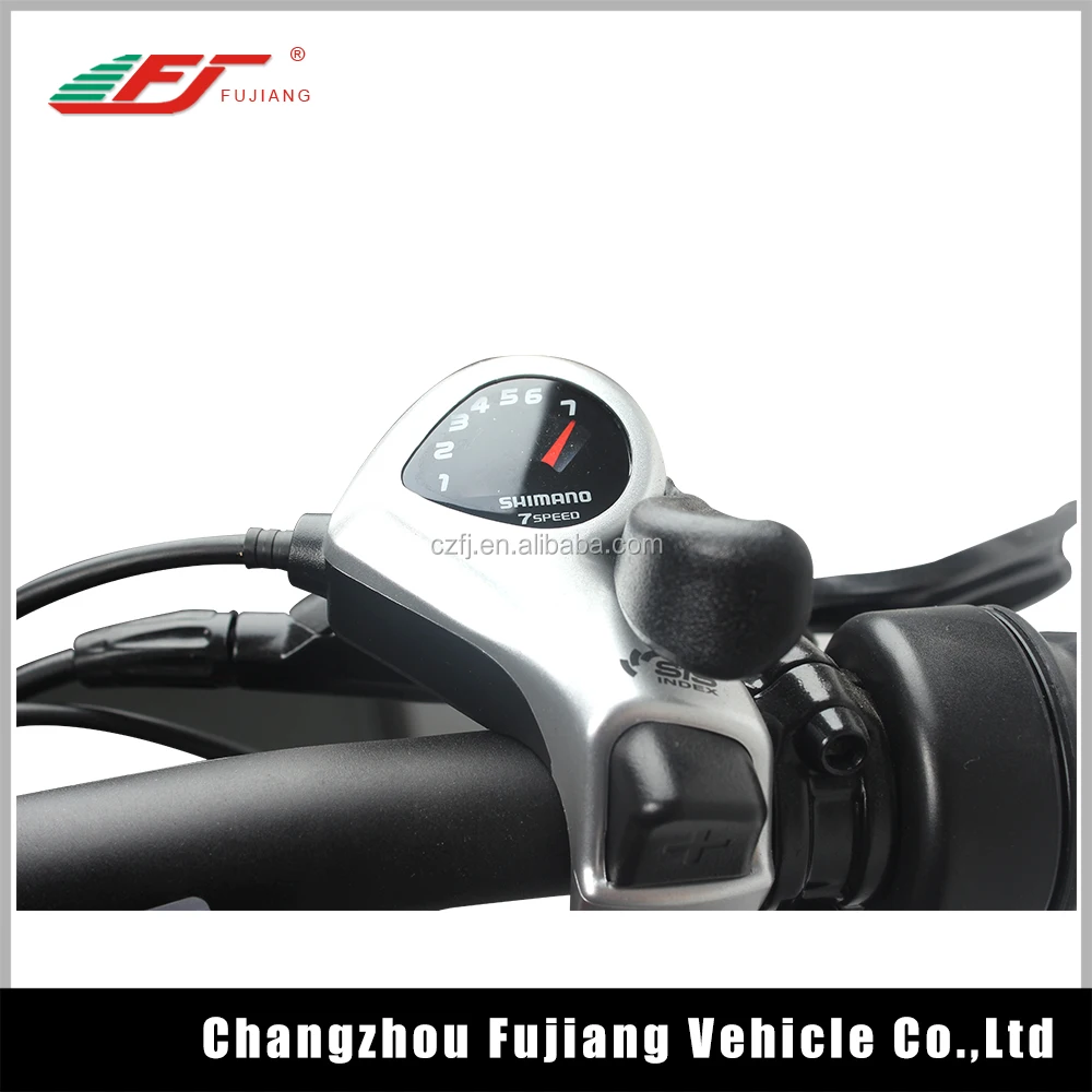 China battery 48v 13ah 1000w fat tire fashion munro 2.0 adult e-bike electric bike bicycle