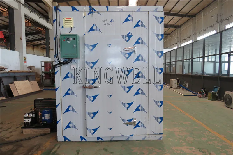 Manufacturer Made Cold Room For Vegetable / Ice / Fish / Meat Cold Storage