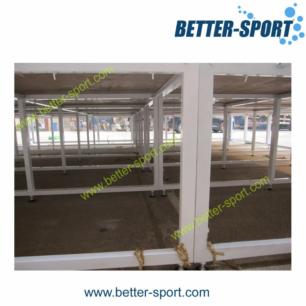 
professional wrestling ring 