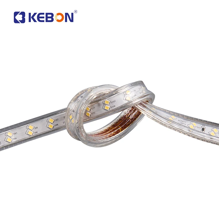 Cheap Price 220v Custom Home Decoration Smd 2835 Flexible Outdoor Backlight Led Strip Lights